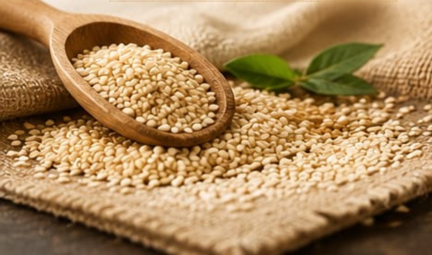 Premium hulled sesame seeds for Ammoura tahina